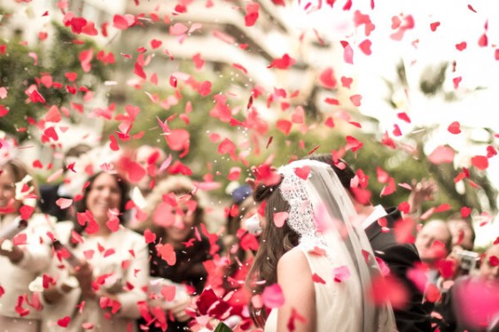 Guia Completo da Expoflora Holambra: Espetáculo da Chuva de Pétalas