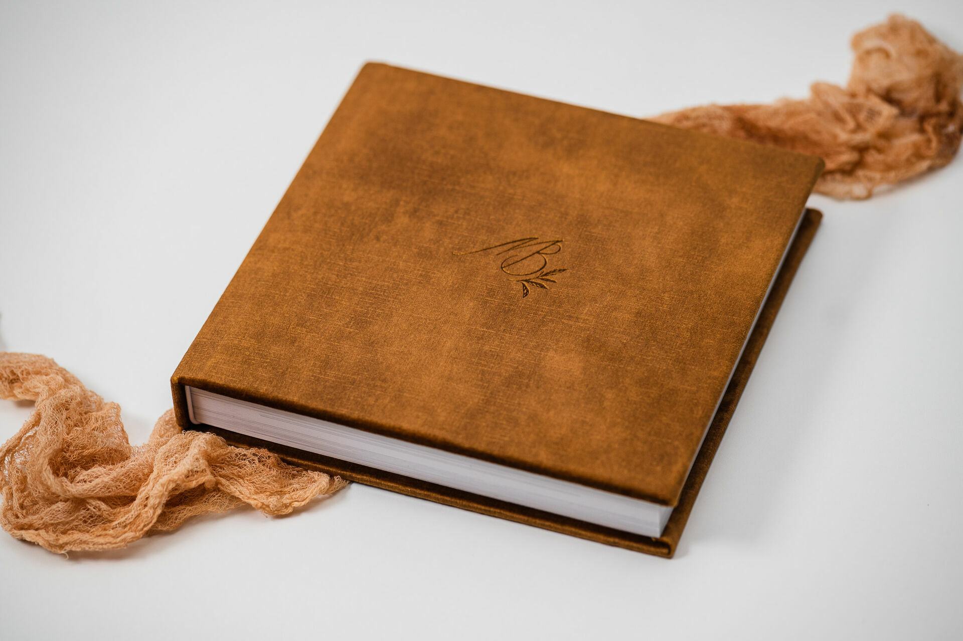 Ferramentas e Apps para Organizar e Selecionar Suas Fotos Facilmente