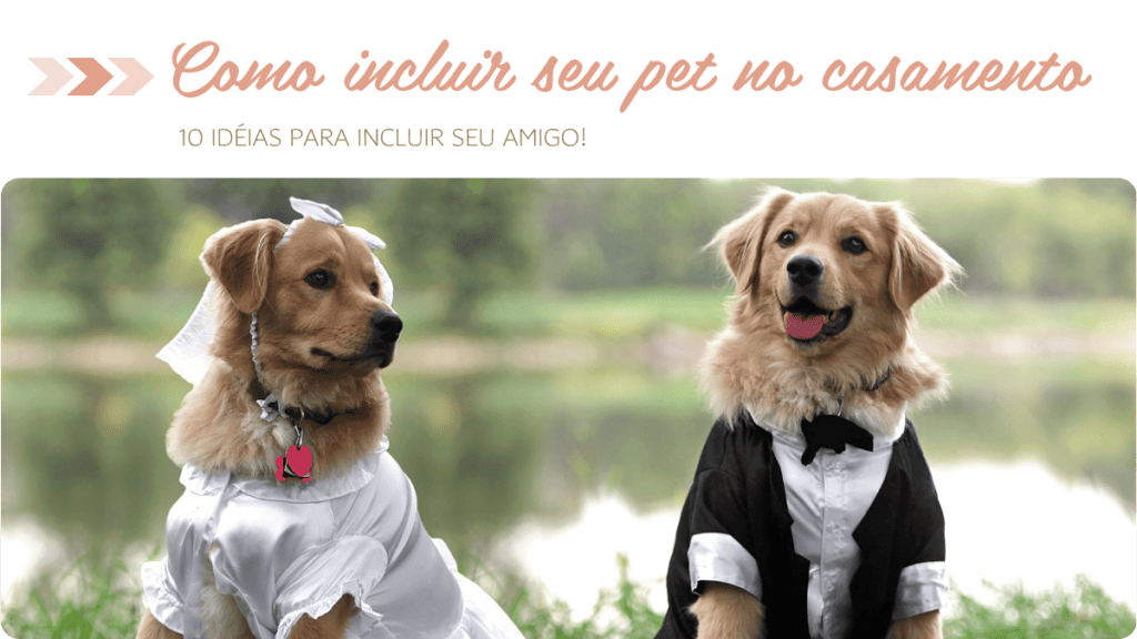 como incluir pets no casamento
