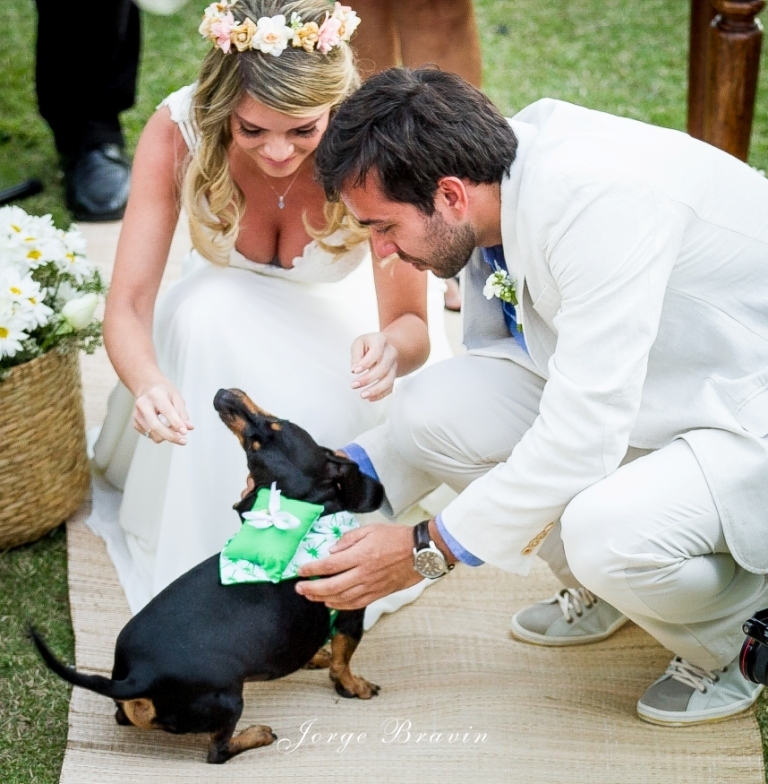 Guia Completo para um Casamento Pet Friendly Inesquecível