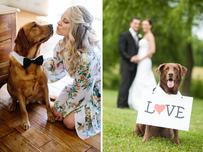 Além do Altar: Formas Simbólicas de Ter Seu Pet no Casamento