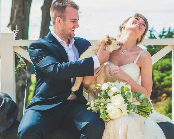 como incluir pets no casamento