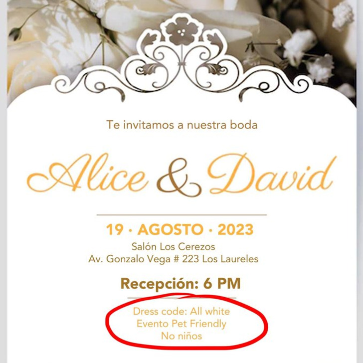 site de casamento comunicado crianças