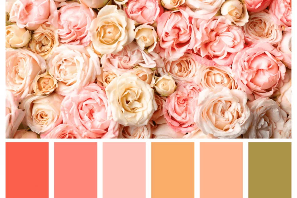 O Significado das Cores na Decoração do Casamento: Guia Completo