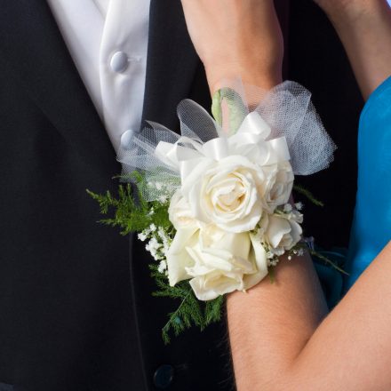 Comparativo de Preços: Onde Comprar Corsages Online