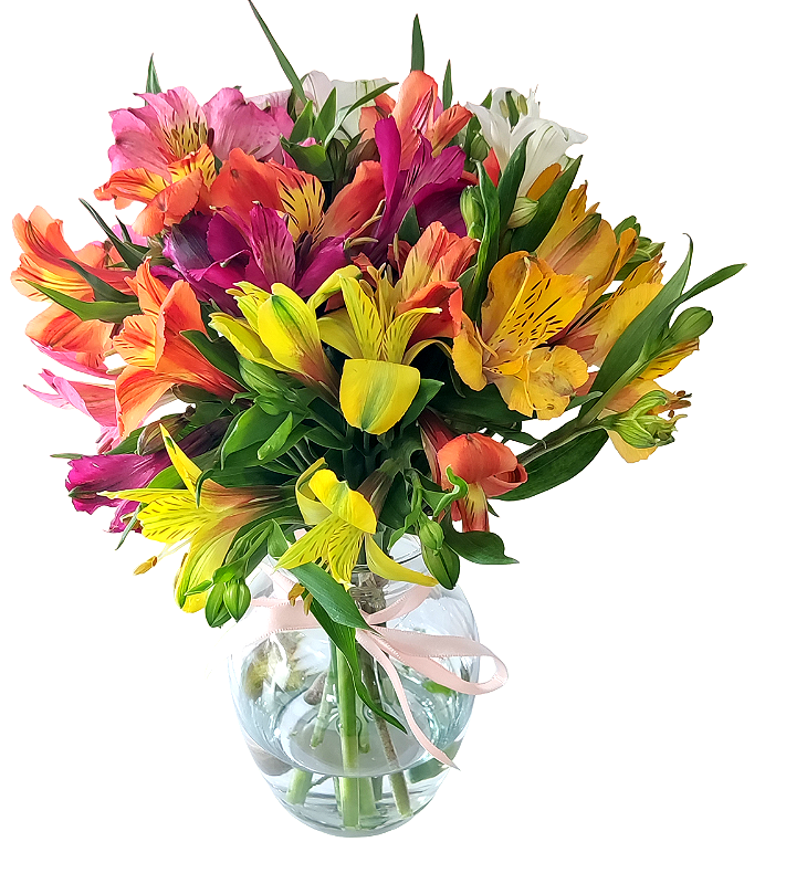 Astromélias para Eventos: Ideias de Decoração para Casamentos e Festas