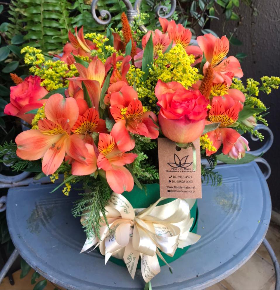 Desvendando o Significado das Cores das Astromélias na Decoração