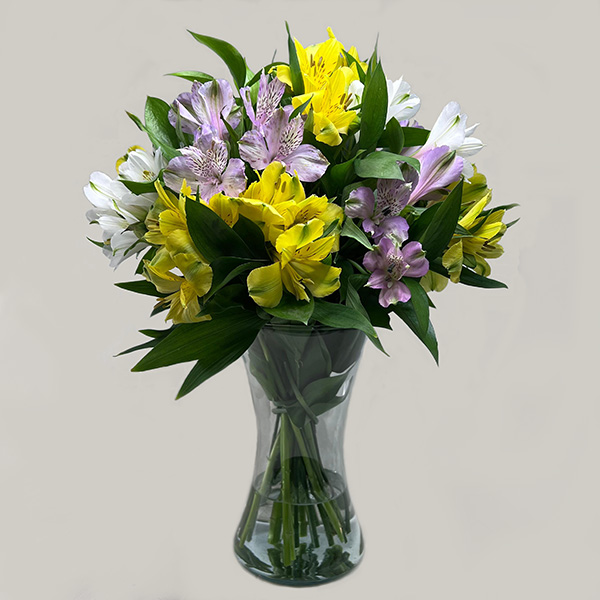 Truques Simples para Aumentar a Durabilidade das Suas Astromélias