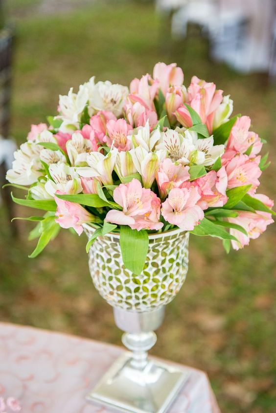 Astromélias e Rosas: A Combinação Perfeita para Ocasiões Especiais