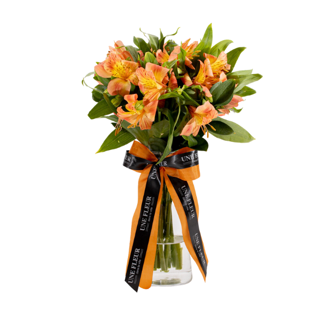 Astromélias e Rosas: A Combinação Perfeita para Ocasiões Especiais