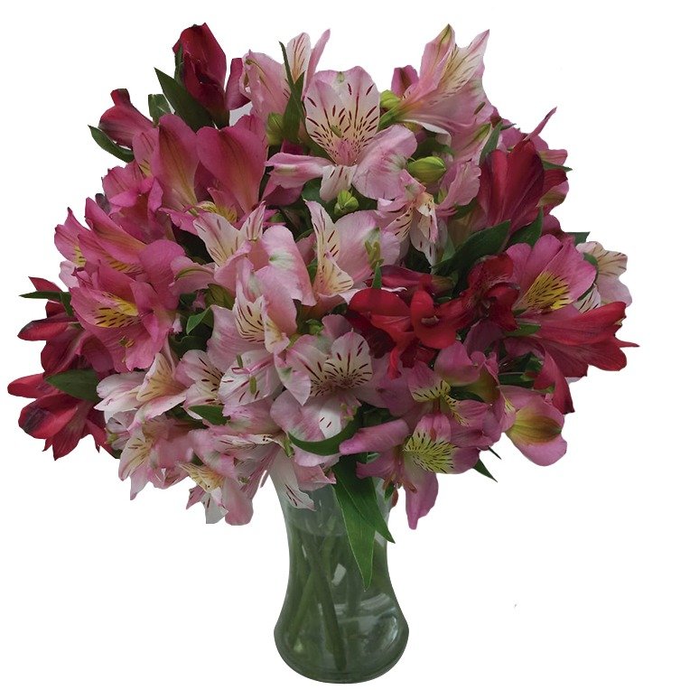 Astromélias para Eventos: Ideias de Decoração para Casamentos e Festas