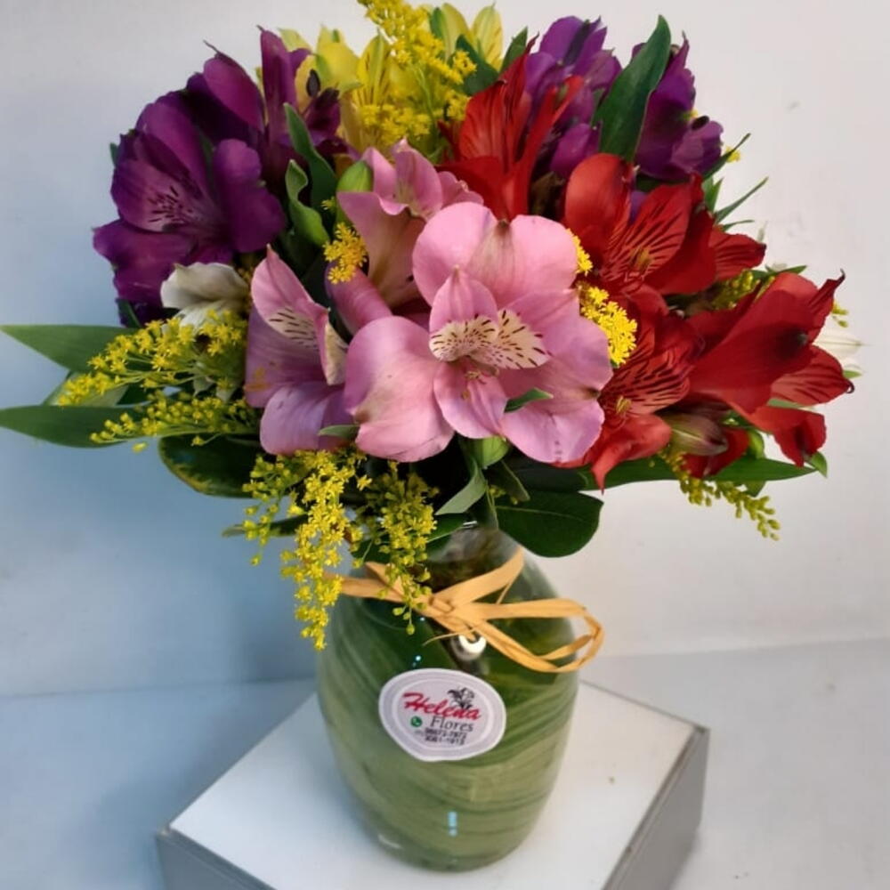 Desvendando o Significado das Cores das Astromélias na Decoração