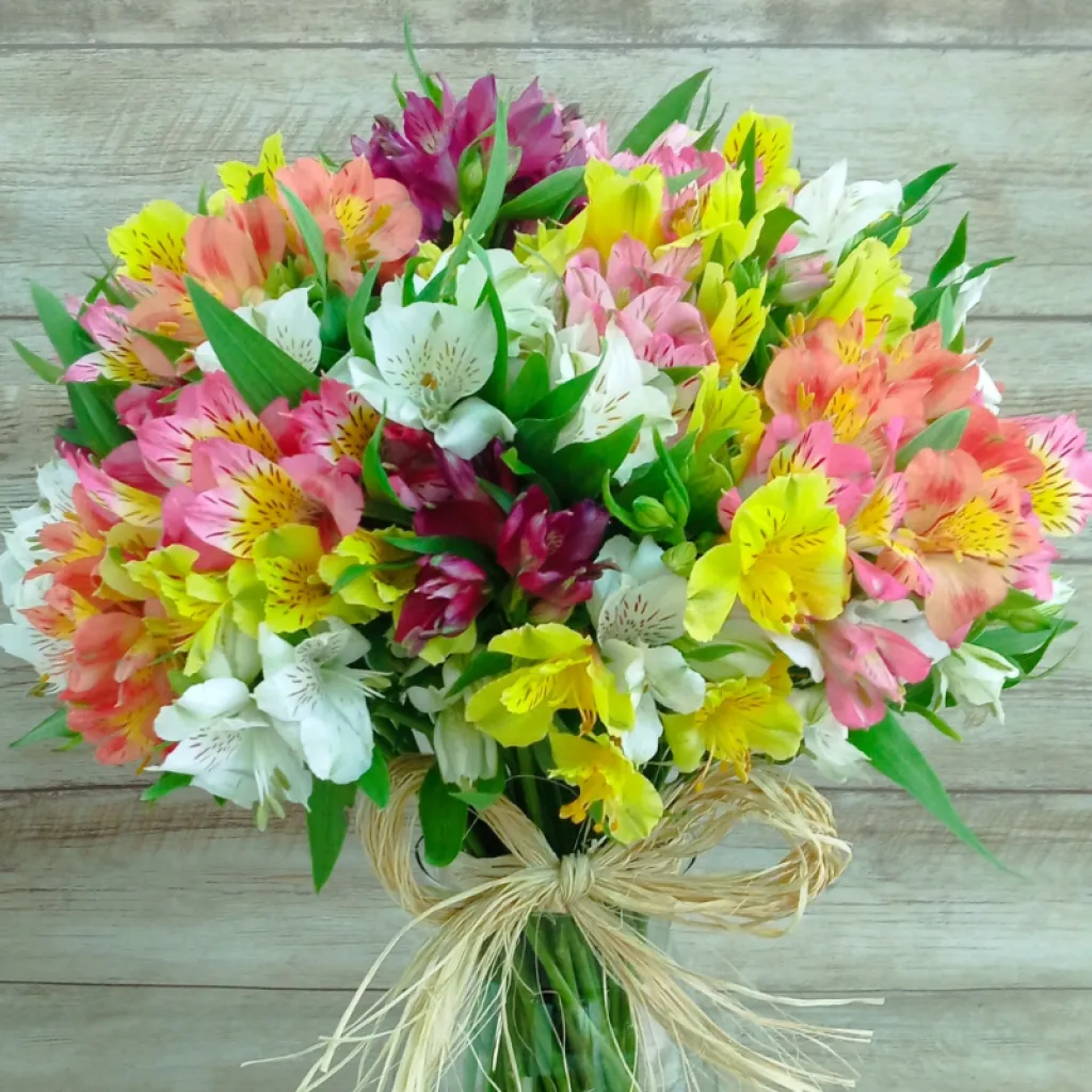 Desvendando o Significado das Cores das Astromélias na Decoração