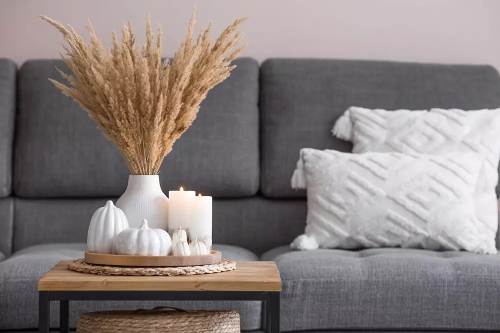 5 ideias de títulos:
1. Capim dos Pampas: O Guia Completo para uma Decoração Boho Chic
2. Transforme sua Casa: Como Usar Capim dos Pampas em Cada Cômodo
3. Dicas Essenciais: Conservação e Manutenção do seu Capim dos Pampas
4. Onde Comprar Capim dos Pampas: Melhores Lojas e Preços
5. Capim dos Pampas em Casamentos: Inspirações e Tendências
