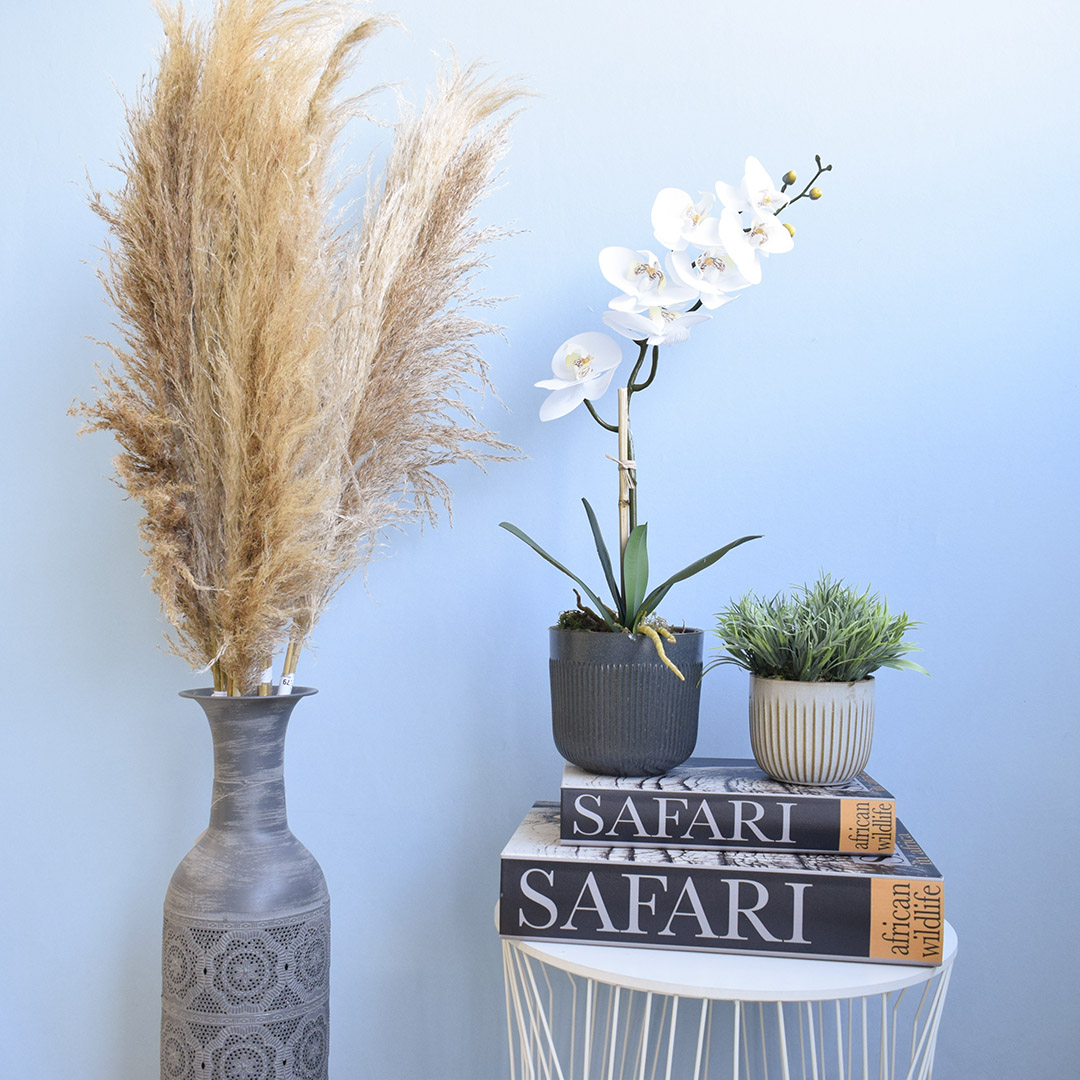 decoracao com capim dos pampas