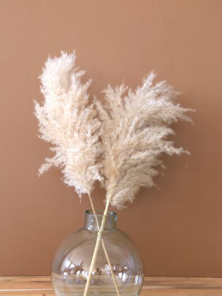 5 ideias de títulos:
1. Capim dos Pampas: O Guia Completo para uma Decoração Boho Chic
2. Transforme sua Casa: Como Usar Capim dos Pampas em Cada Cômodo
3. Dicas Essenciais: Conservação e Manutenção do seu Capim dos Pampas
4. Onde Comprar Capim dos Pampas: Melhores Lojas e Preços
5. Capim dos Pampas em Casamentos: Inspirações e Tendências