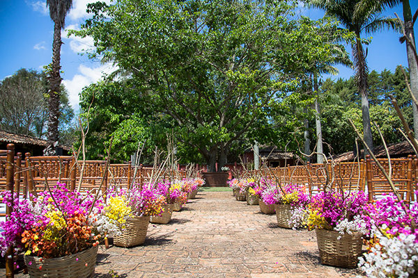 Decoração com cestos suspensos: ideias para jardins verticais