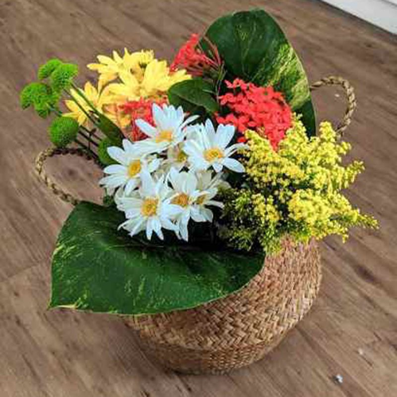 Guia completo de materiais para cestos decorativos: vime