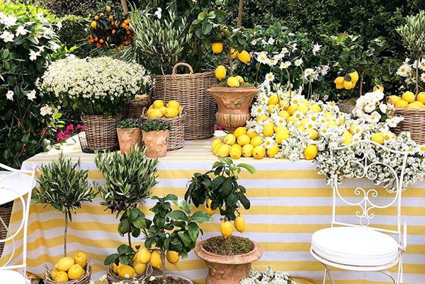 centros de mesa com frutas