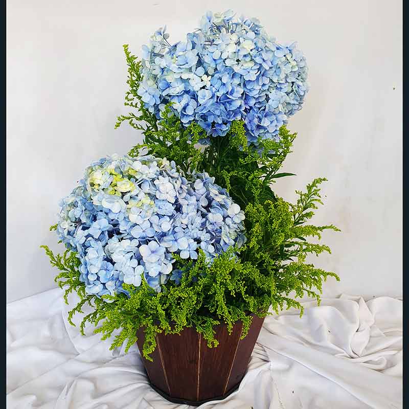 decoracao com hortensias secas