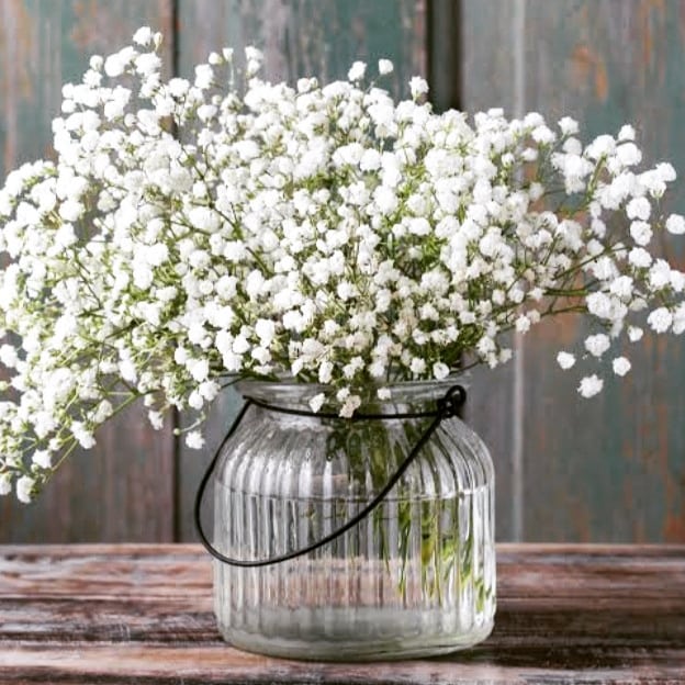 decoracao com mosquitinho (gipsofila)