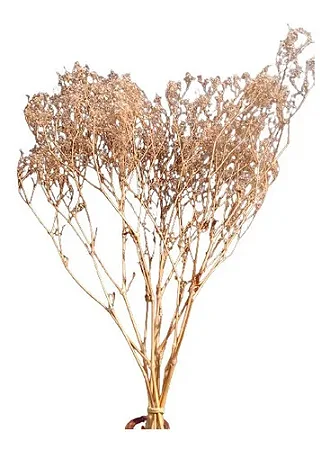 Inspirações Minimalistas: Usando Mosquitinho na Decoração de Interiores