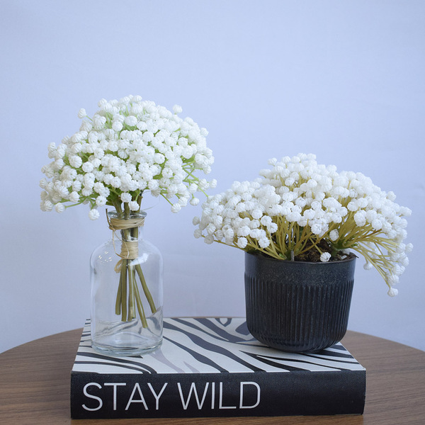 DIY: Transforme sua Casa com Decoração de Gipsofila Seca e Colorida