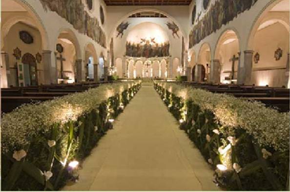 Mosquitinho vs. Áster: Qual Escolher para sua Decoração Econômica?