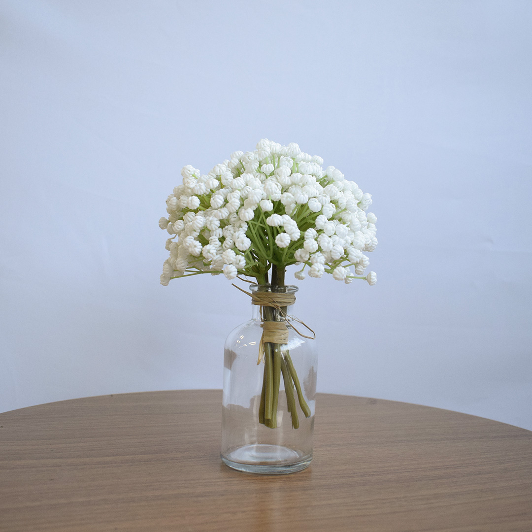 Mosquitinho vs. Áster: Qual Escolher para sua Decoração Econômica?