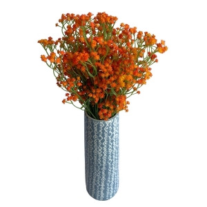 Técnicas Secretas para Conservar o Mosquitinho Fresco por Mais Tempo