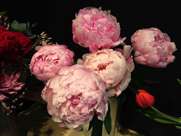 decoracao com peonias