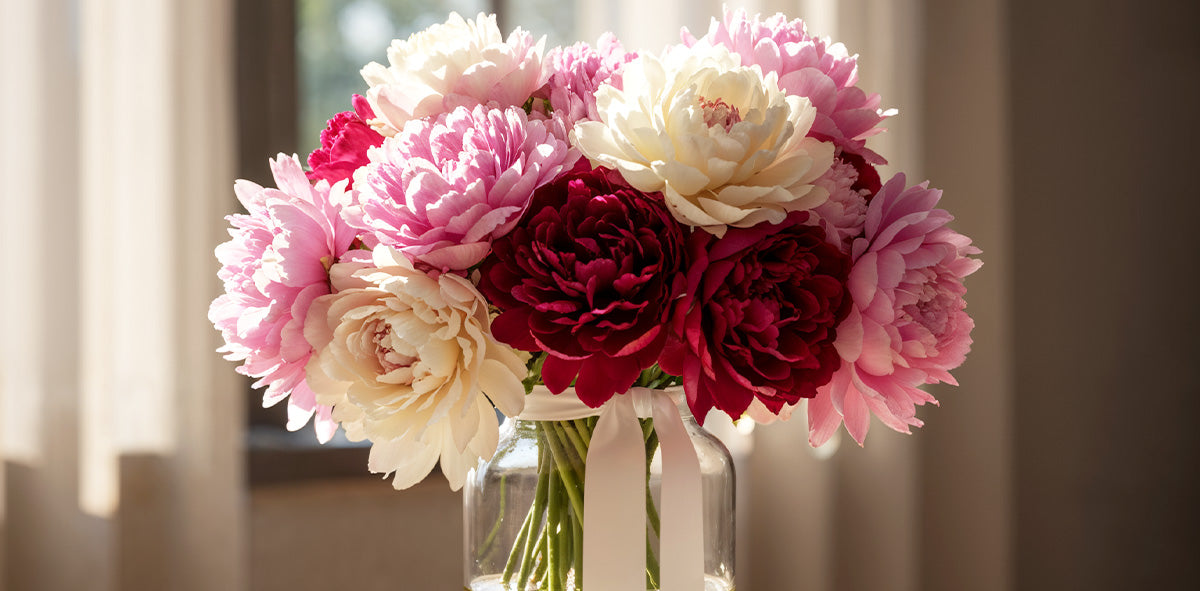 5 ideias de títulos