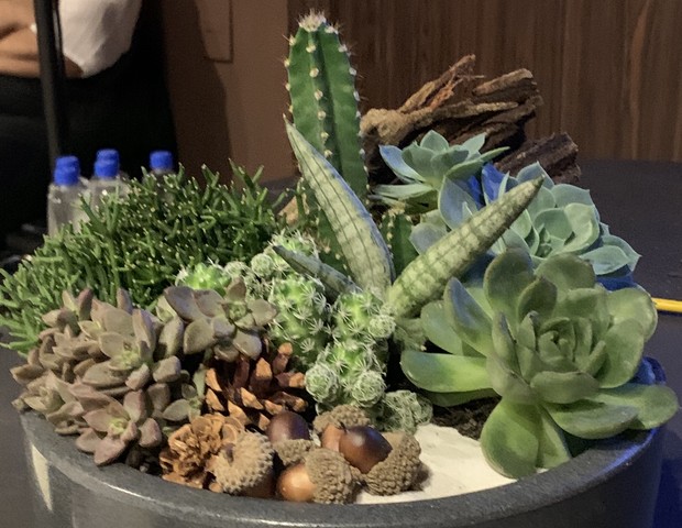 5 ideias de títulos