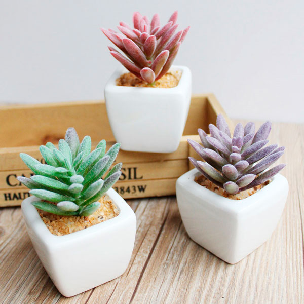 5 ideias de títulos