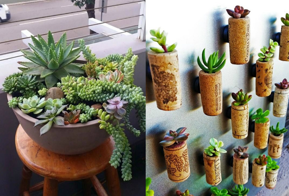 5 ideias de títulos