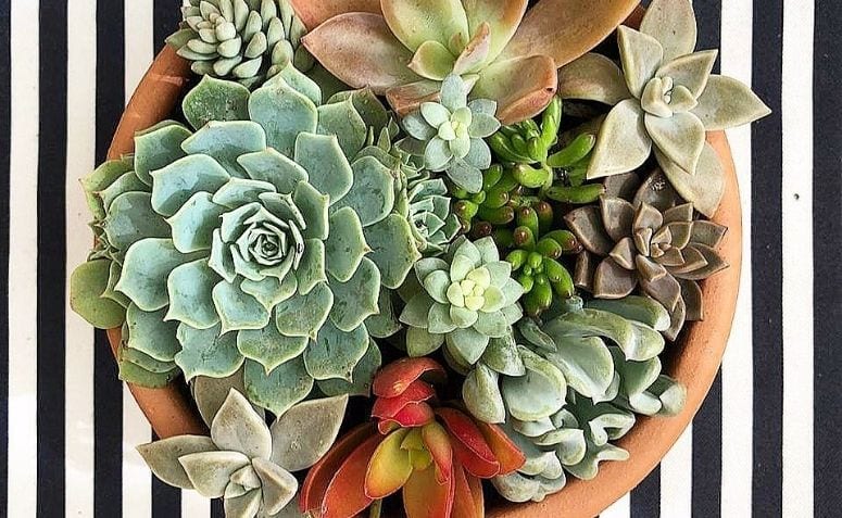 5 ideias de títulos