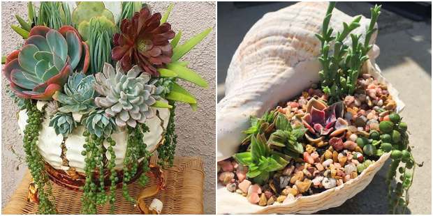 5 ideias de títulos