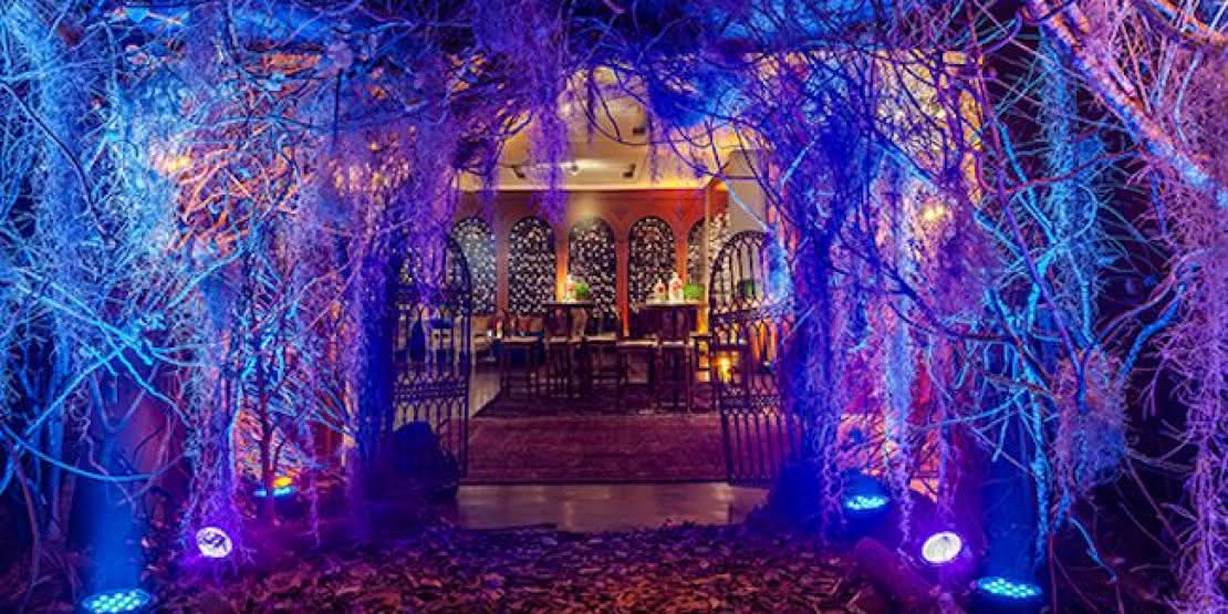 Guia Completo de Balões Modernos para Festas em 2025