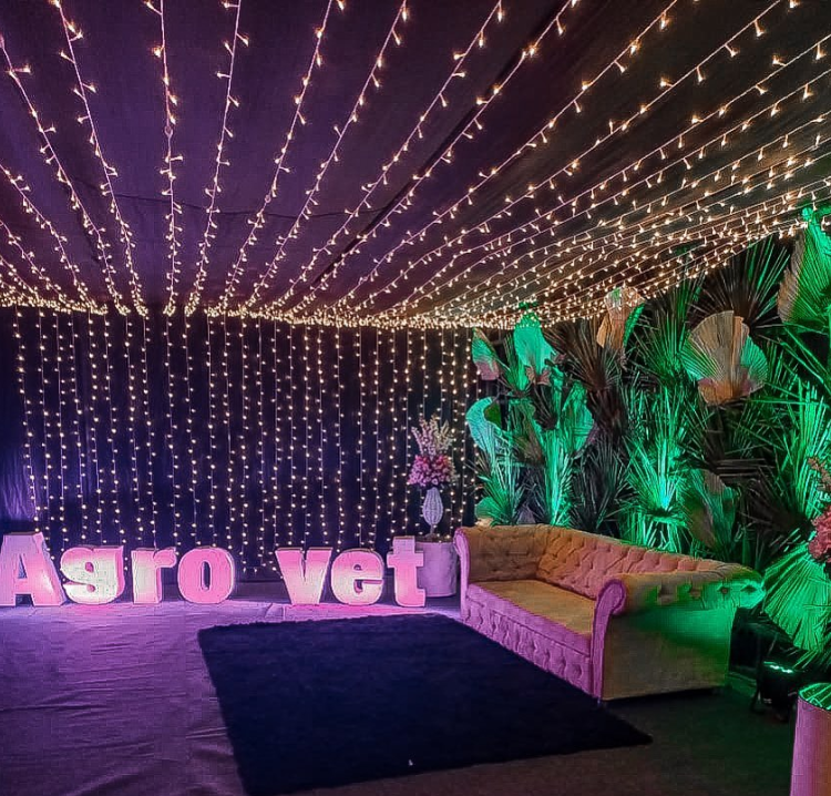 Cores Vibrantes e Ousadas: Tendências para Festas de Debutantes 2025/2026