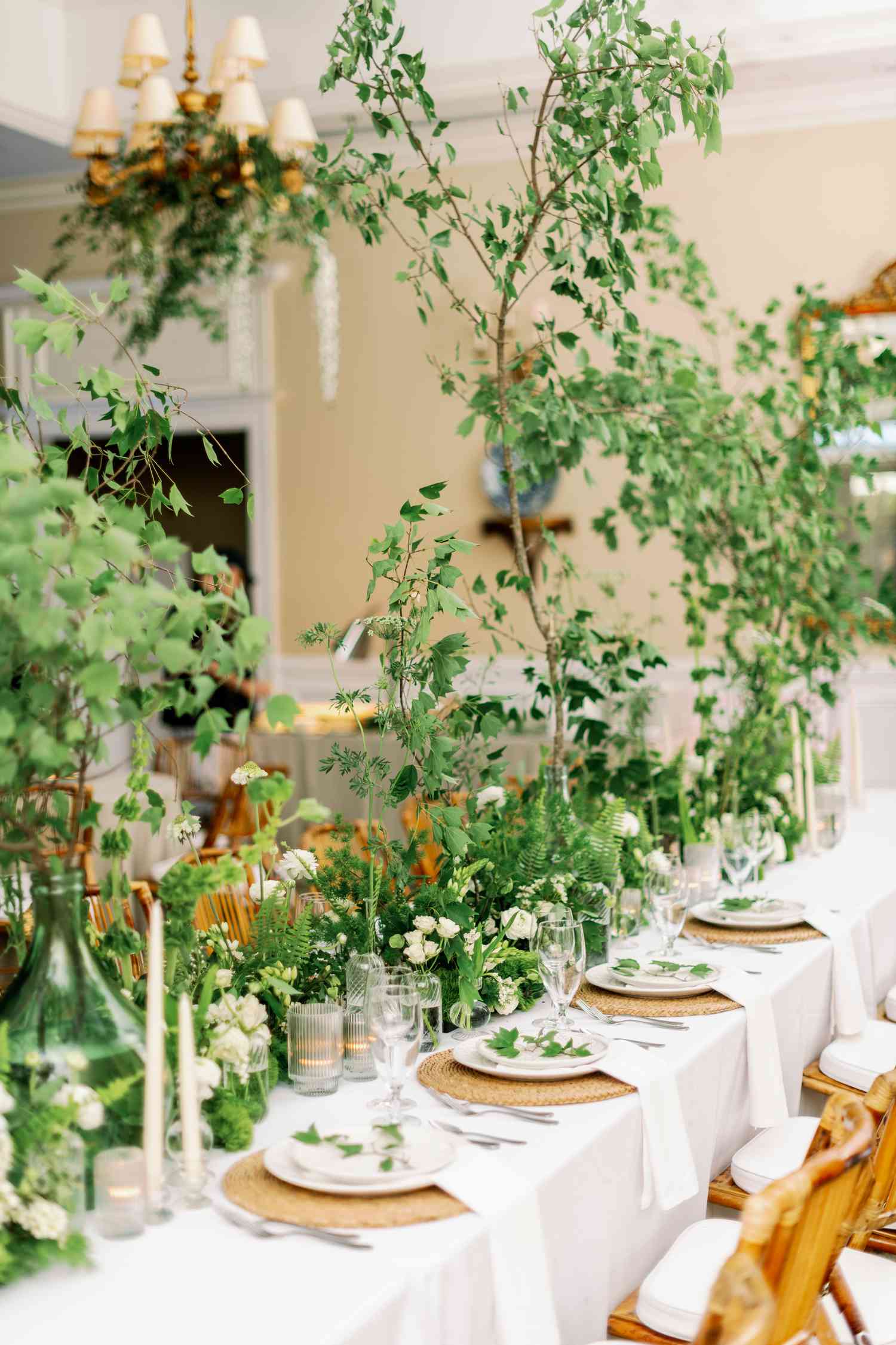 casamento botânico vs casamento rústico