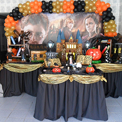erros comuns ao decorar festa harry potter
