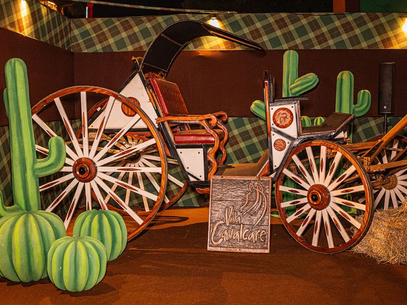 erros comuns decoração festa western