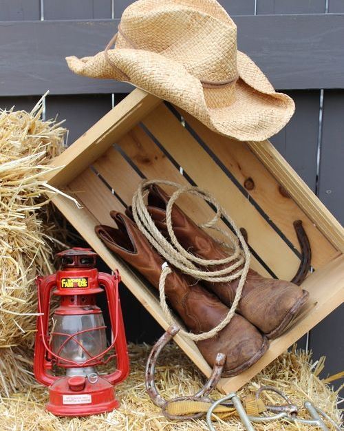 decoração de festa western