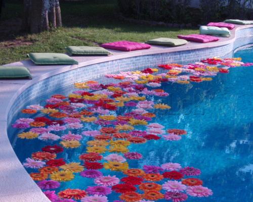 decoração de piscina para casamento vs decoração de salão