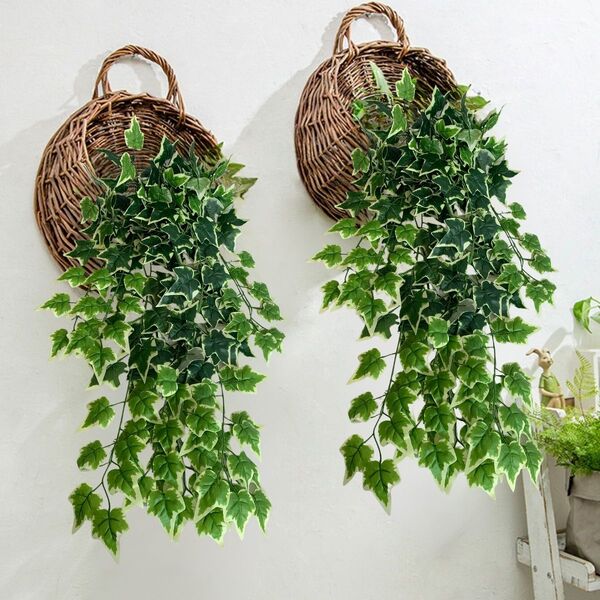 eucalipto pendente decoração