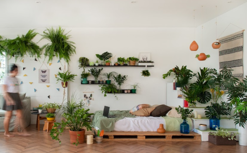 Design Biofílico para Apartamentos Pequenos: Maximizando o Verde em Espaços Reduzidos