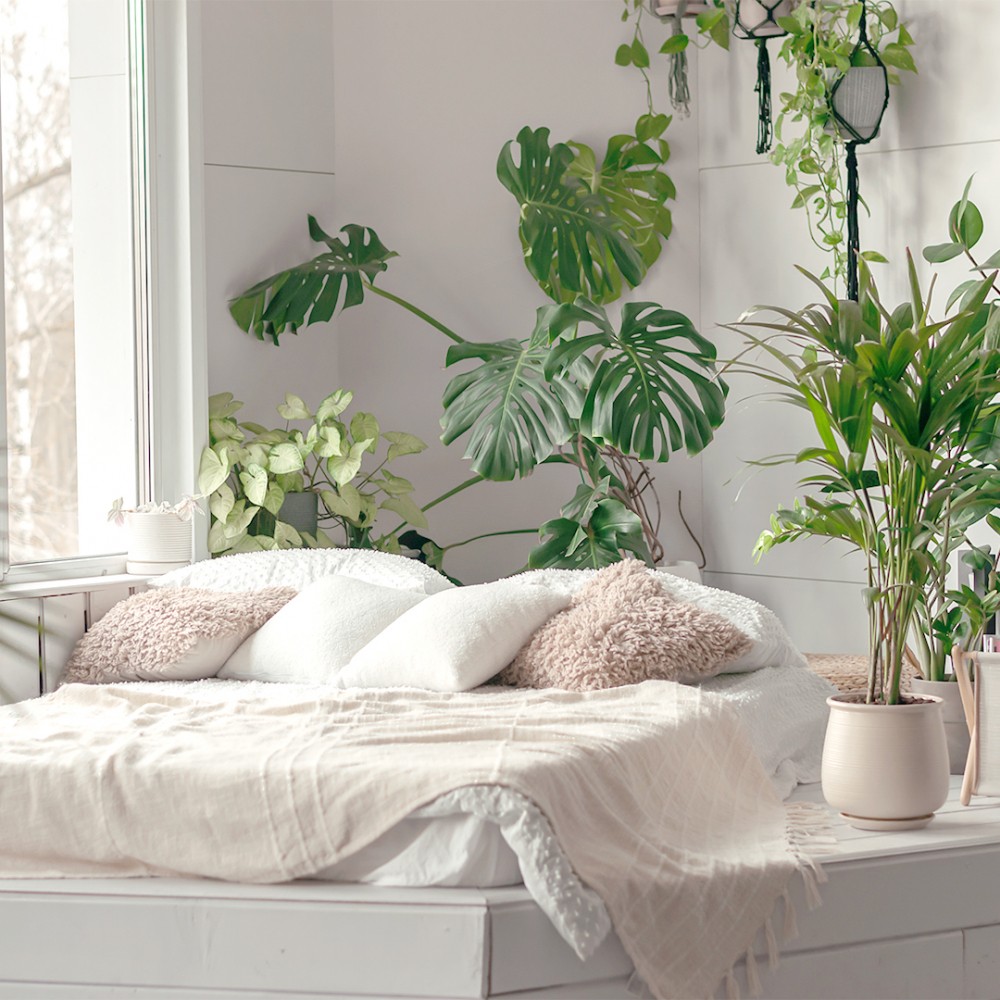 Design Biofílico para Apartamentos Pequenos: Maximizando o Verde em Espaços Reduzidos