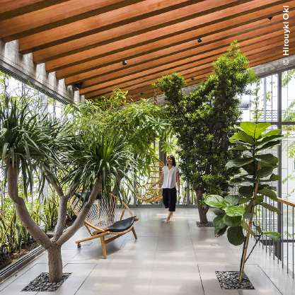 Os Benefícios Comprovados do Design Biofílico para a Saúde Física e Mental