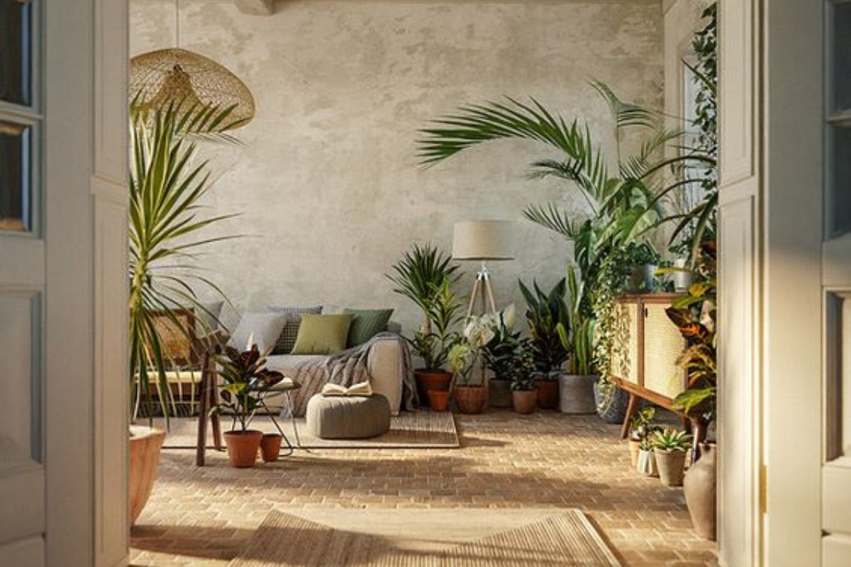 Materiais Naturais e Formas Orgânicas: Dicas para uma Decoração Biofílica Autêntica