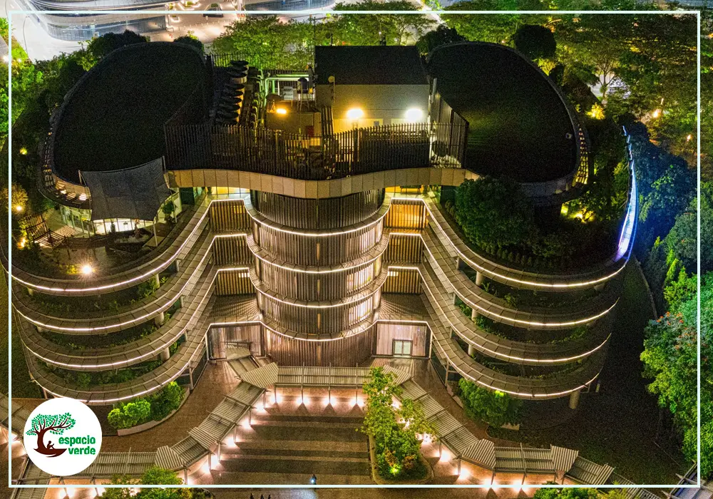 Materiais Naturais e Formas Orgânicas: Dicas para uma Decoração Biofílica Autêntica